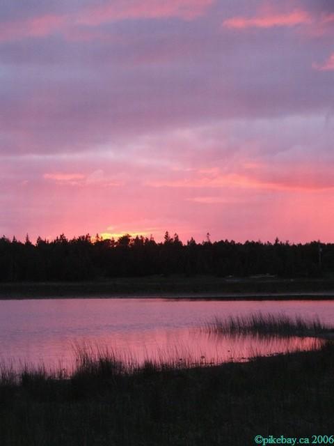 ../Images/meg july 1st 006.jpg